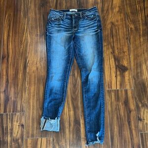 BKE Payton Skinny Jean